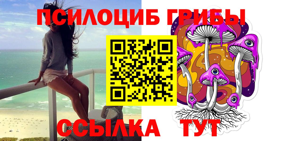 Псилоцибиновые грибы Psilocybe Камышлов