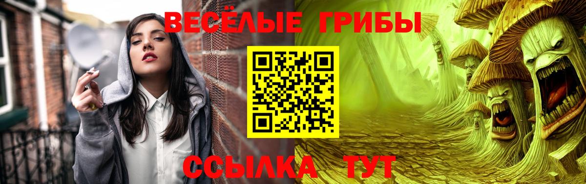 Камышлов  как найти закладки  Вход с VPN  Галлюциногенные грибы Magic Shrooms 